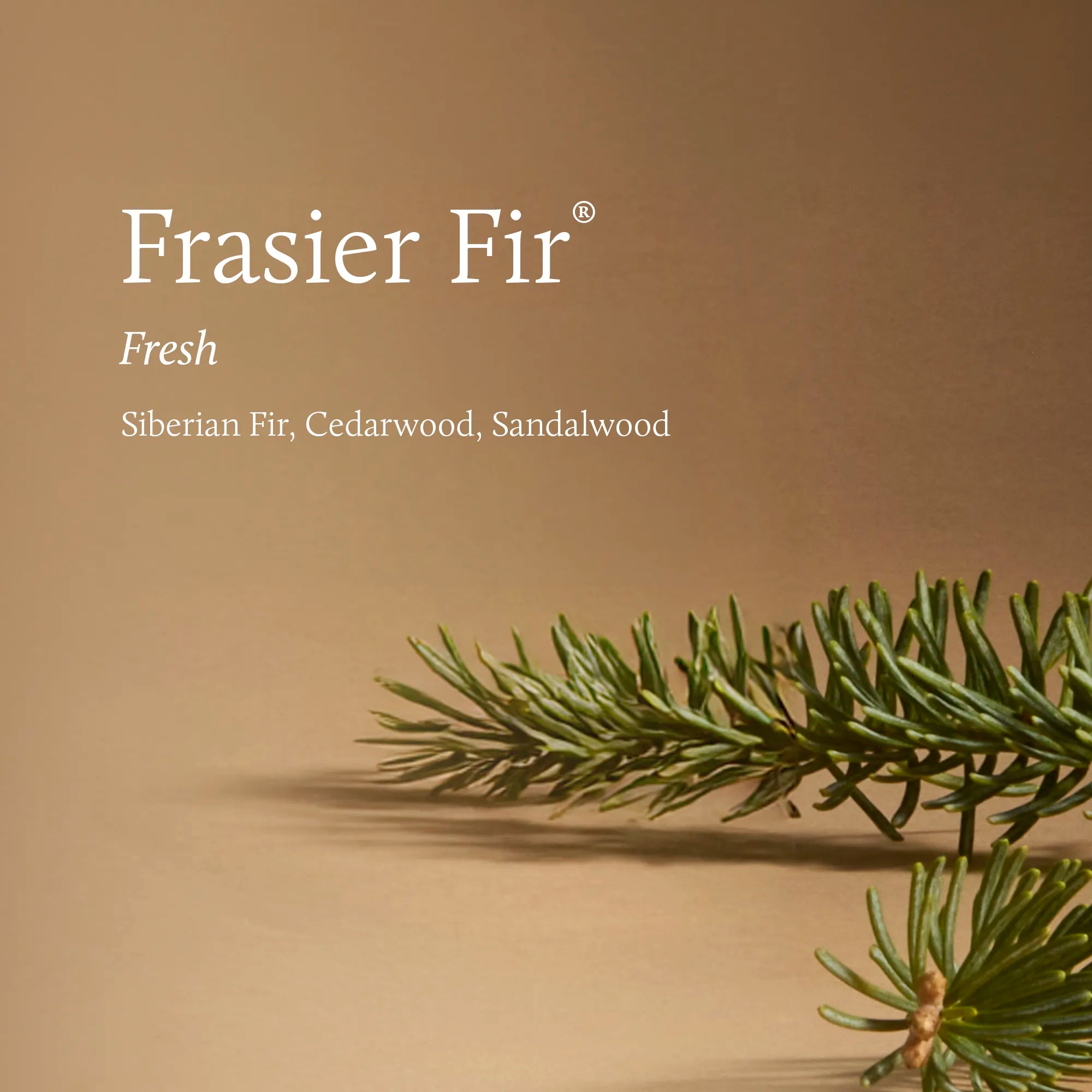 FFrFragrance.jpg