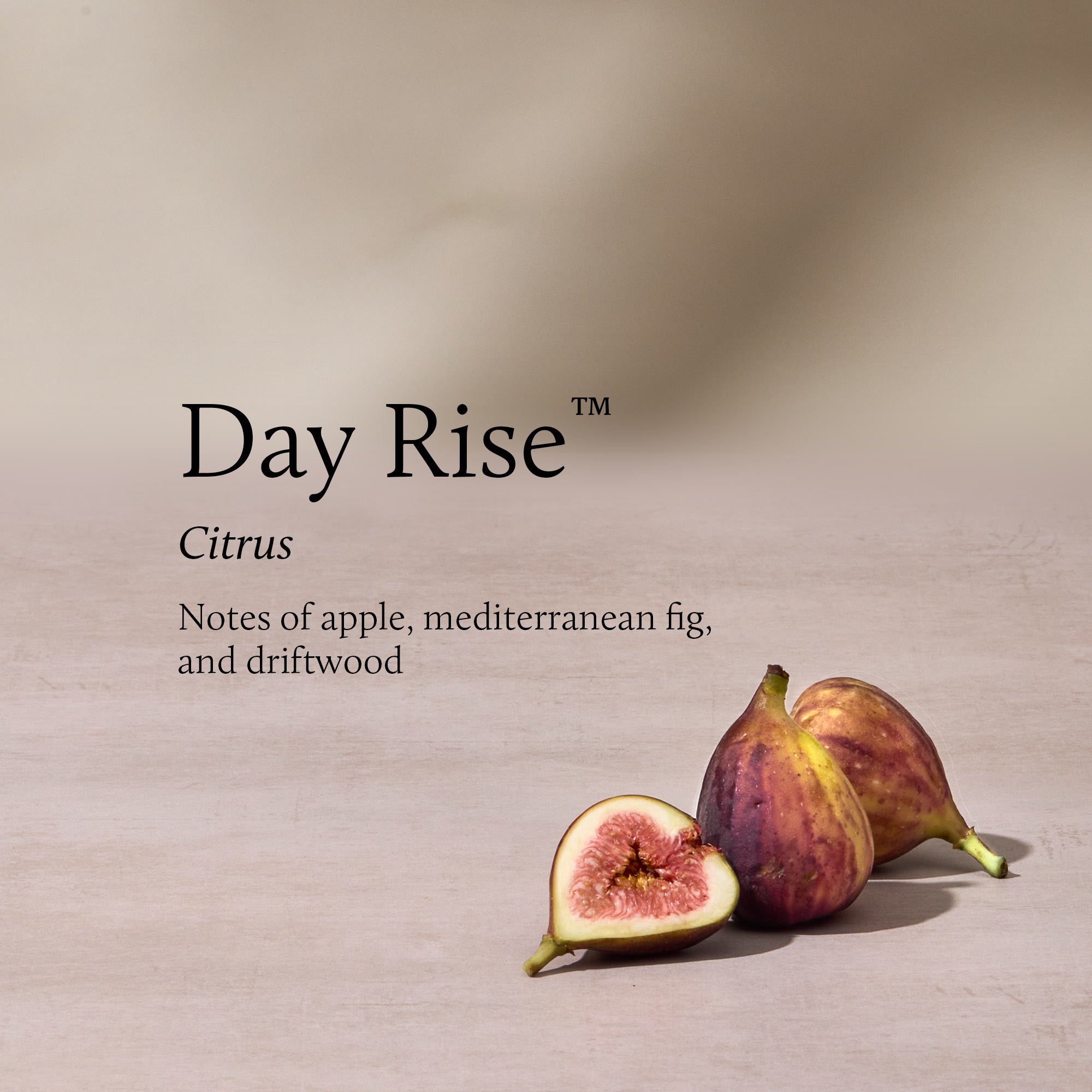 Fragrance-Stack-day-rise.jpg