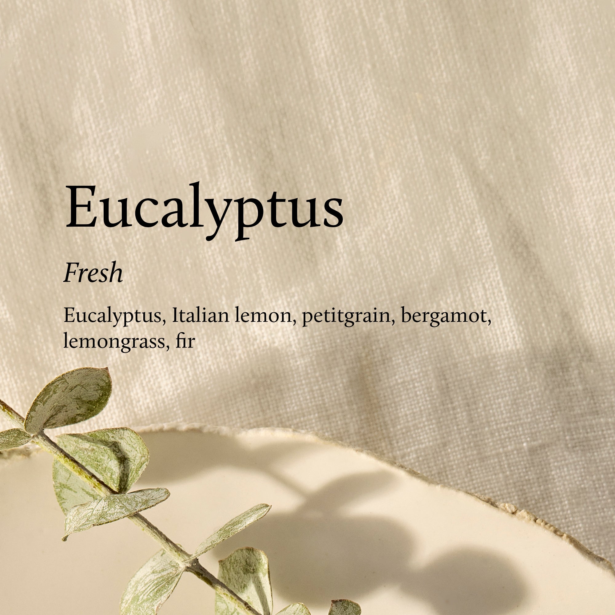 TH-EUC-LAV-Pura-Kit-v5-Image-Stacks-Fragrance_1.jpg