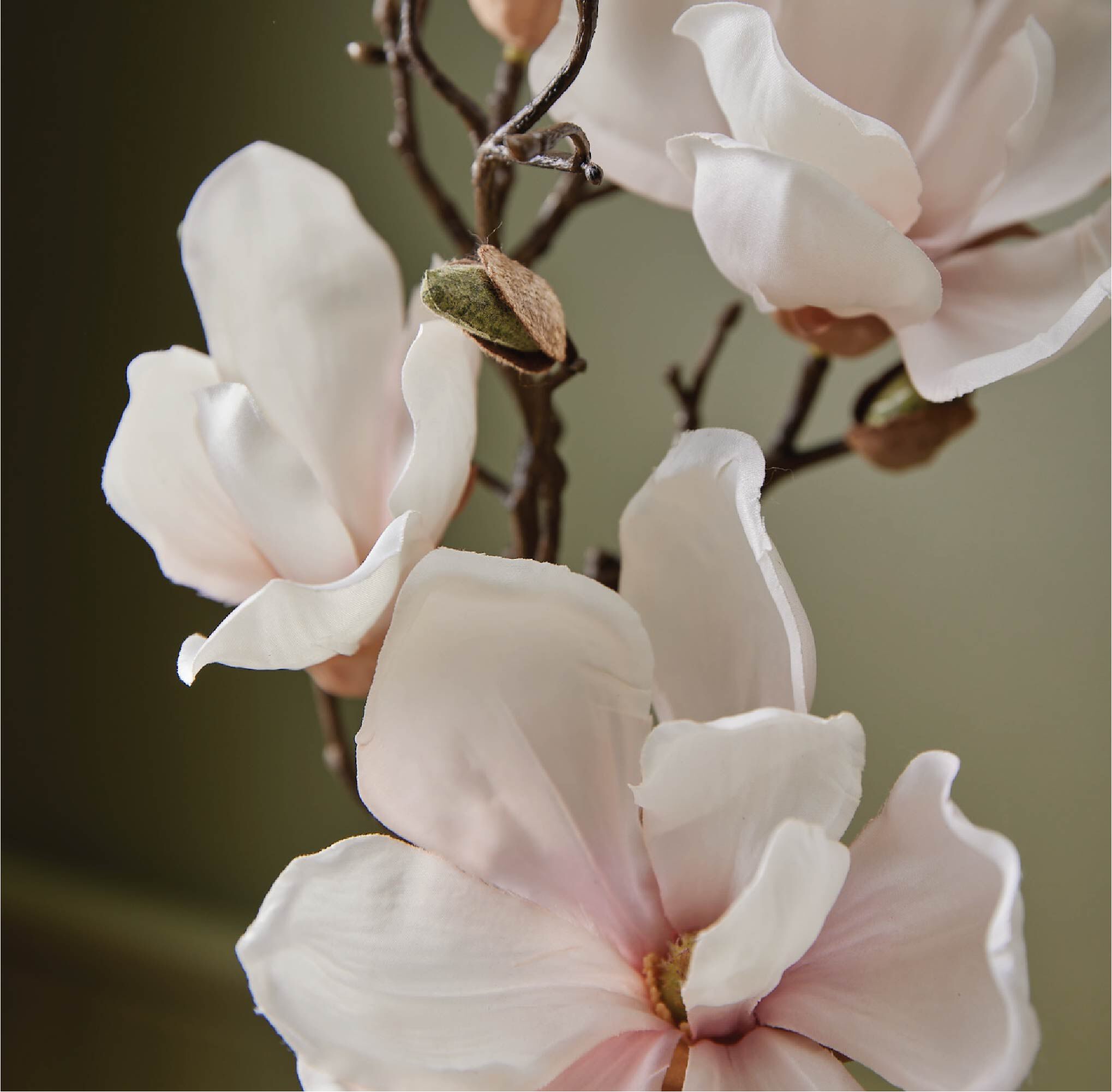 Thymes-MGw-Petite_20Diffuser-Web_20Alt_20Image-2.jpg