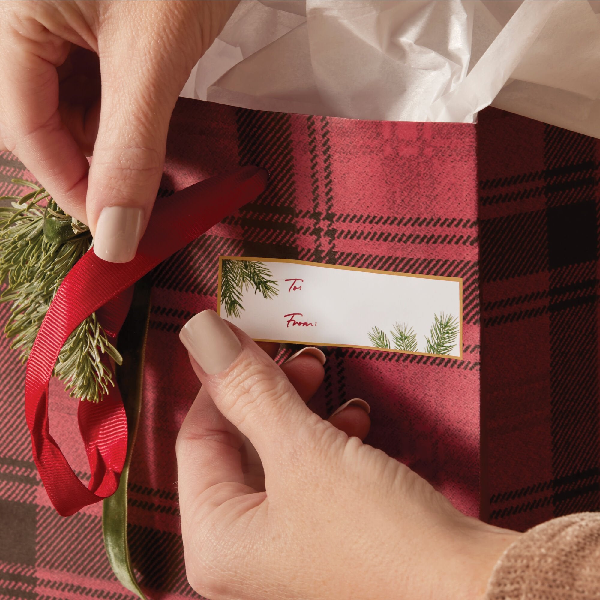 frasier-fir-gift-tags-2.jpg