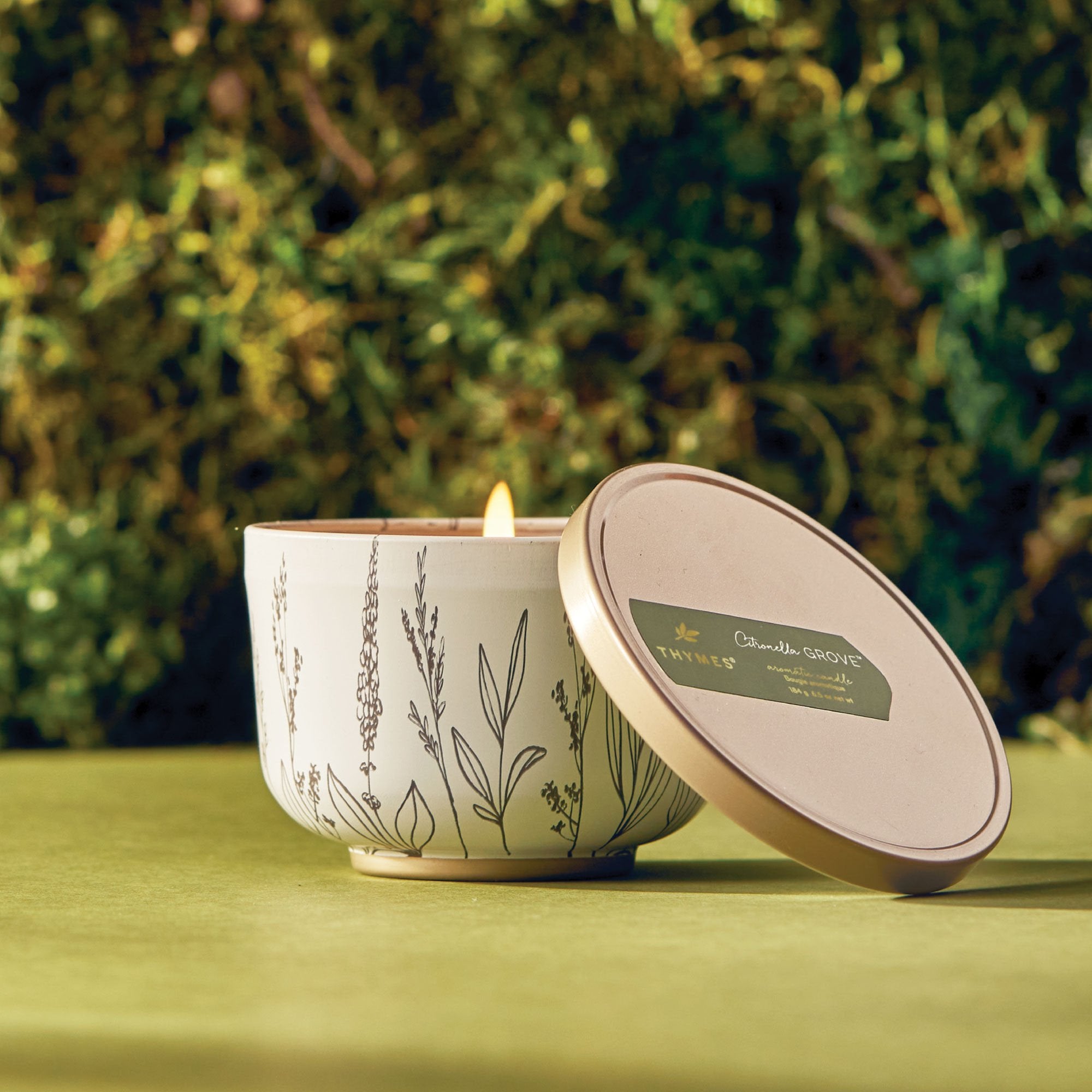 th-ss24-citronella-grove-candle-tin-1.jpg