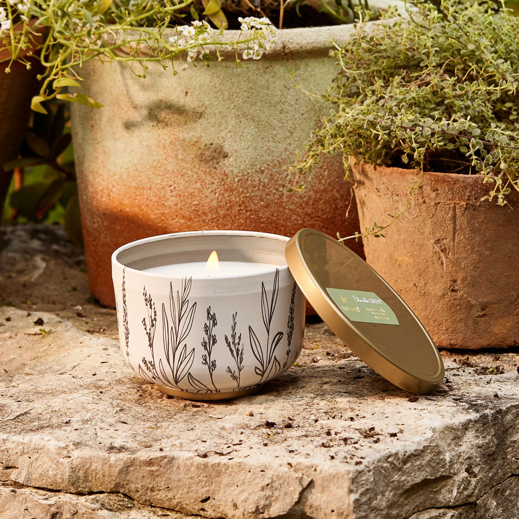th-ss24-citronella-grove-candle-tin-2.jpg