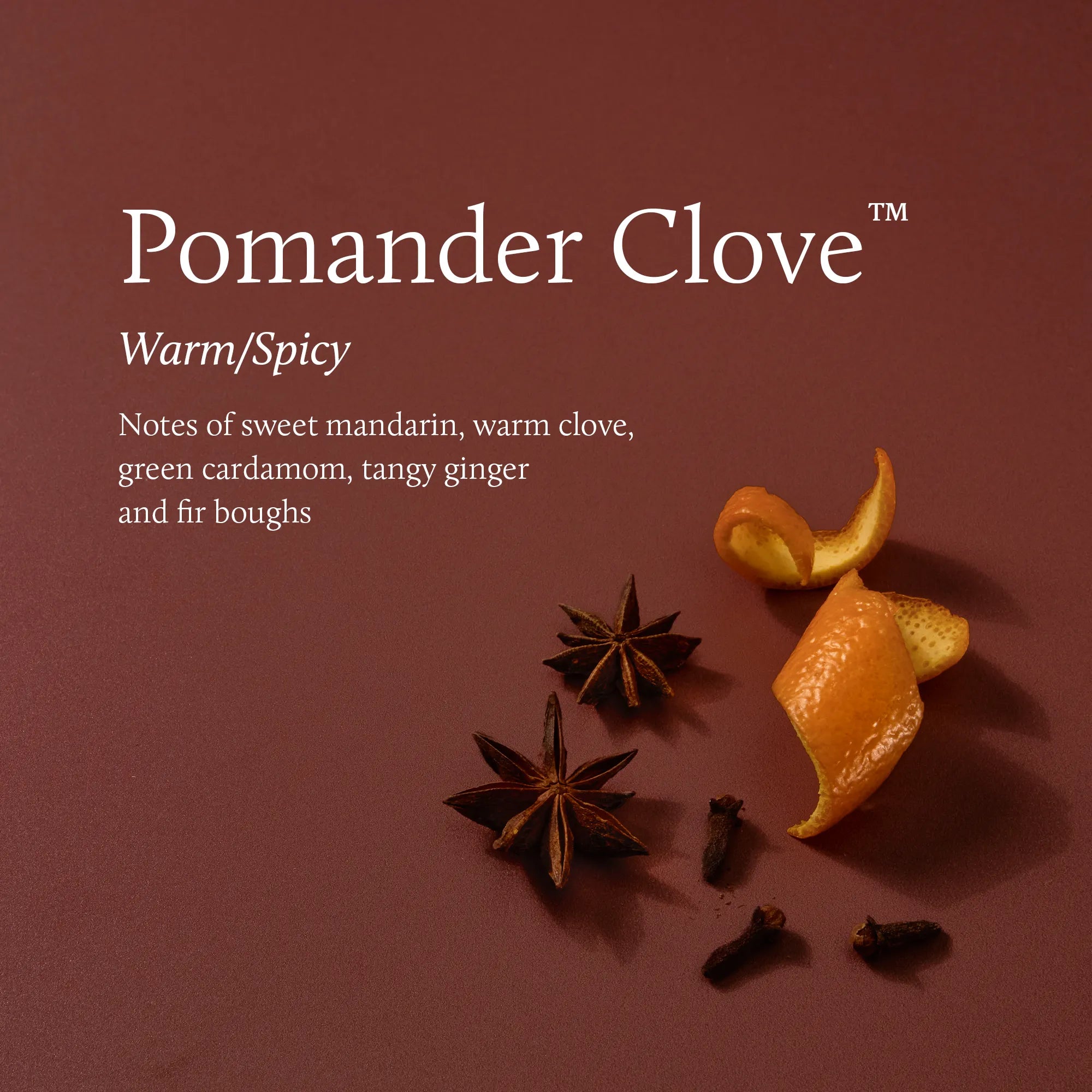 thymes-pomander-clove-image-stack-fragrance-1_7af3e694-d3c0-471a-81c1-52075aae5c62.jpg